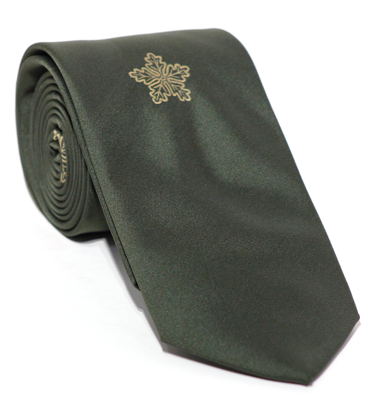 Luxury Dartmouth Green Silk TIe
