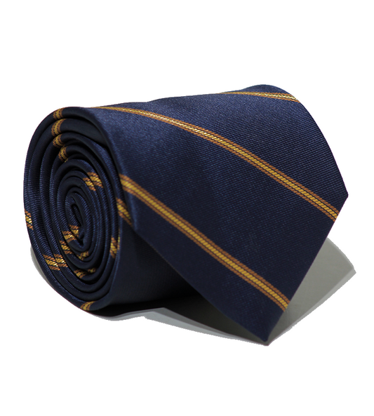 Luxury Navy~Gold Jacquard Tie