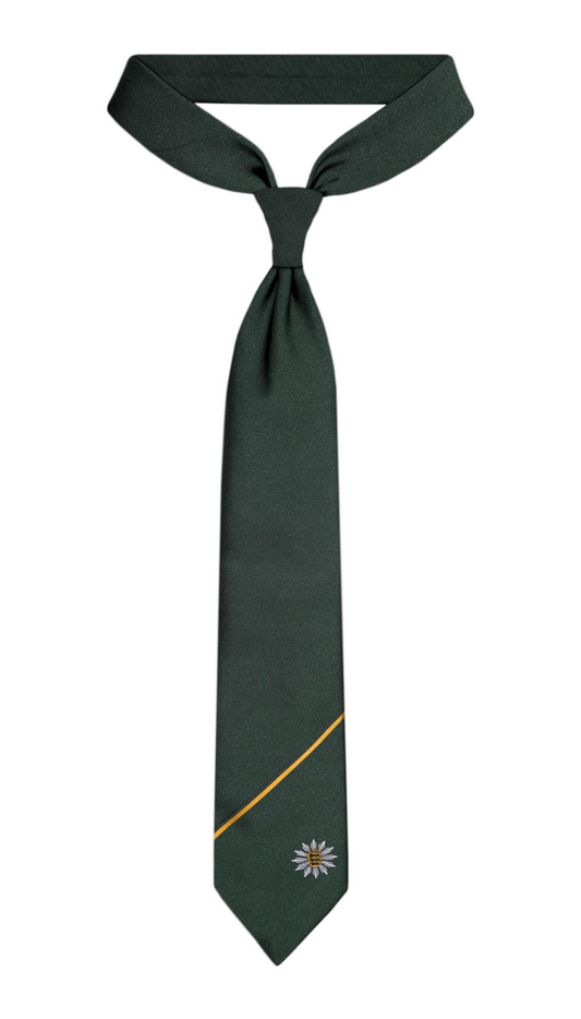 Luxury Dark Green Silk Tie