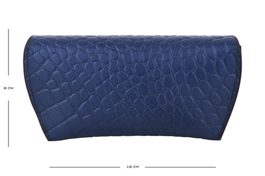 Luxury Glasses Case