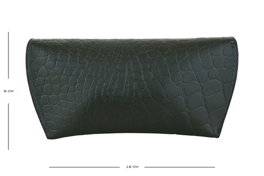 Luxury Glasses Case