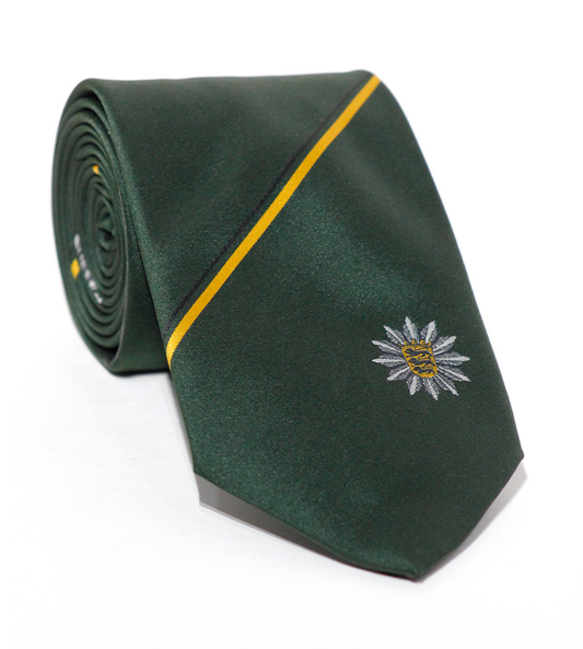 Luxury Dartmouth Green Silk Tie