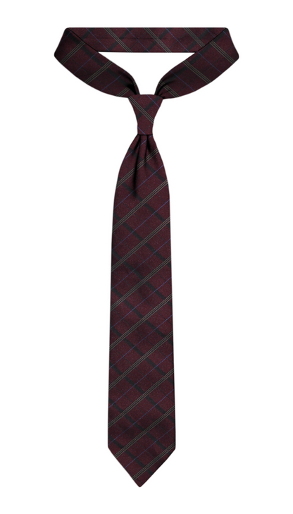 Luxury Burgundy Silk Tie