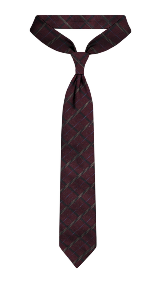 Luxury Burgundy Silk Tie