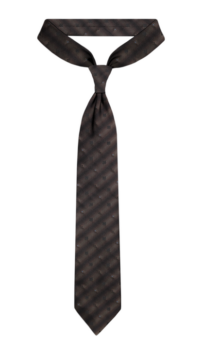 Luxury Mixed Brown Silk Tie
