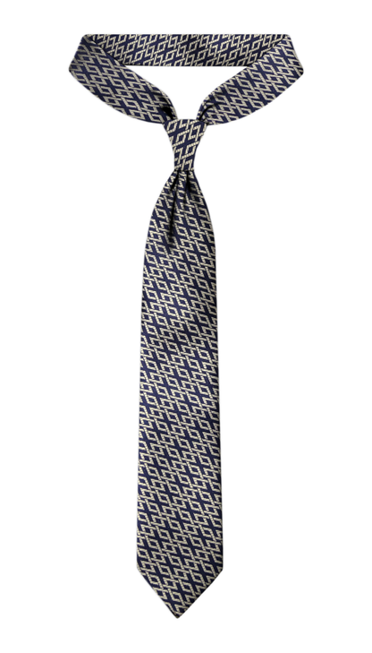 Luxury Navy~Beige Jacquard Tie