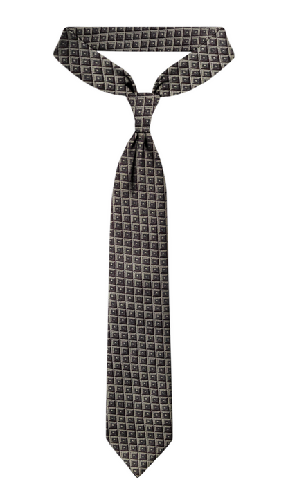 Luxury Brown~Beige Jacquard Tie