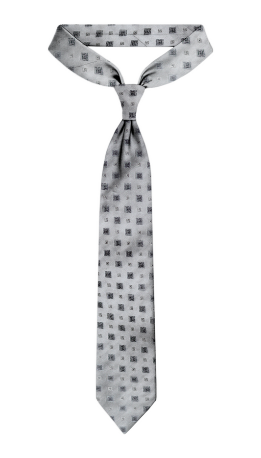 Luxury Silver Silk Tie